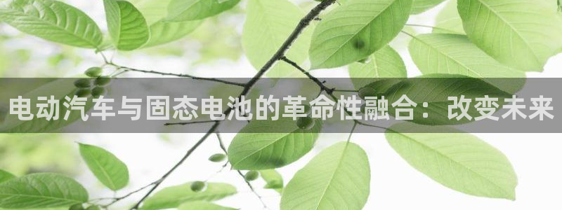 优发国际网官网17w80是什么