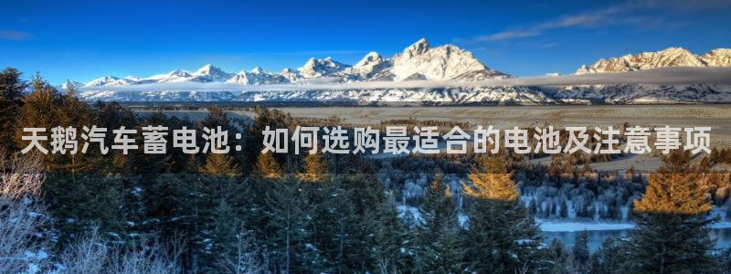 优发国际手机版