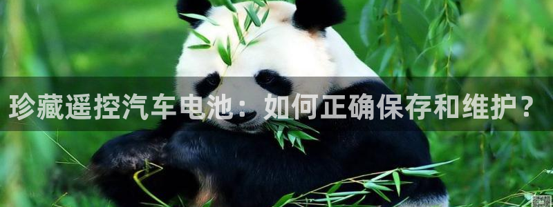 优发国际官网首页