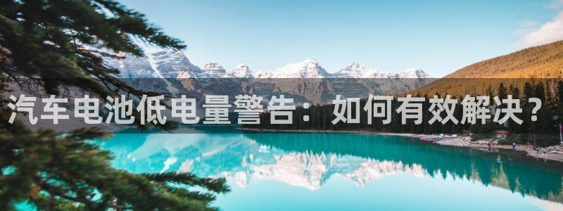 优发国际是什么