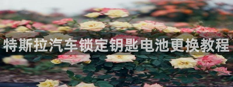 优发国际官网值是多少