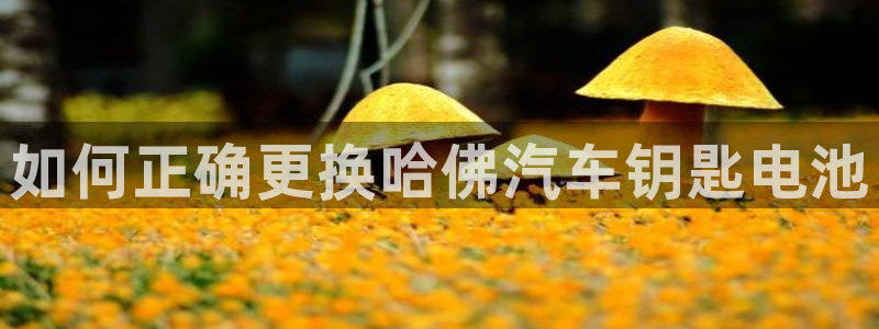 优发国际平台网站