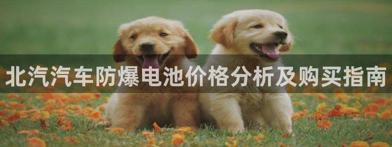 优发国际app官网下载安装苹果