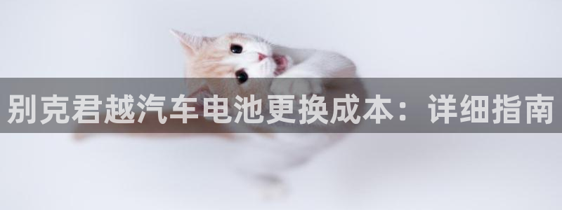 优发国际手机版客户端下载安装