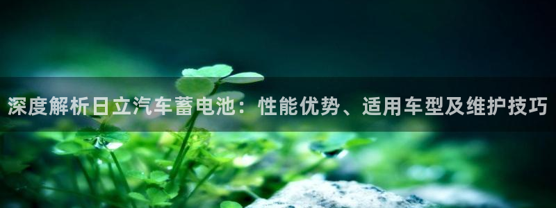 优发国际官网下载安装手机版