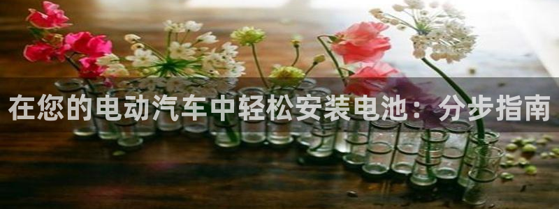 优发国际官网是多少号码