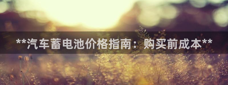 优发国际网站多少