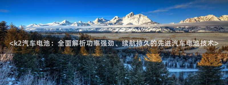 优发国际是什么
