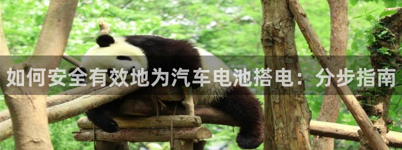 优发娱乐pc版官网