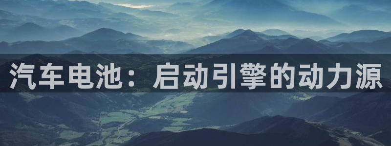 优发国际是大平台吗