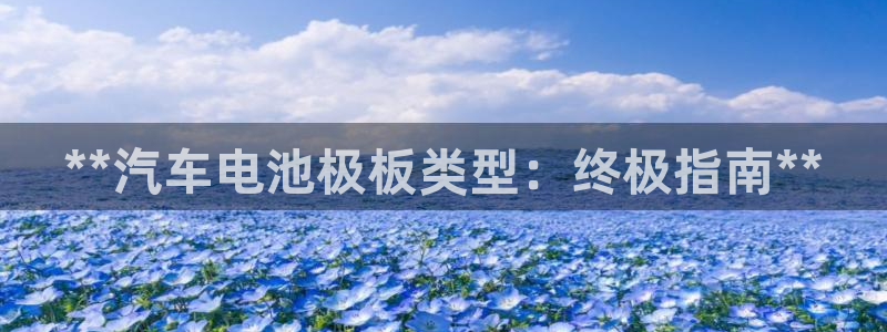优发国际手机版唯一官网