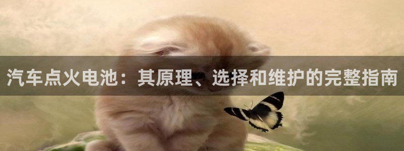 优发国际手机版唯一官网