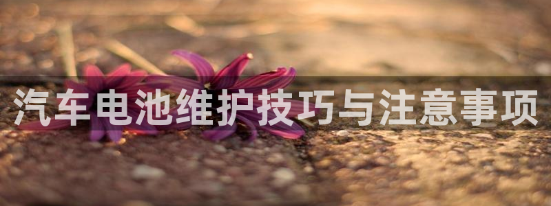 优发国际官网网站登录：汽车电池维护技巧与注意事项