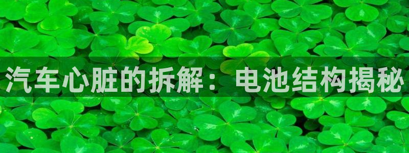 优发国际平台18岁能做吗