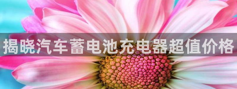 优发国际的官网是什么