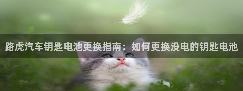 优发国际登录a：路虎汽车钥匙电池更换指南：如何更换没电的钥匙电池
