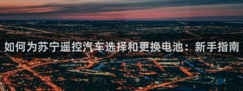 优发国际注册平台是什么：如何为苏宁遥控汽车选择和更换电池：新手指南
