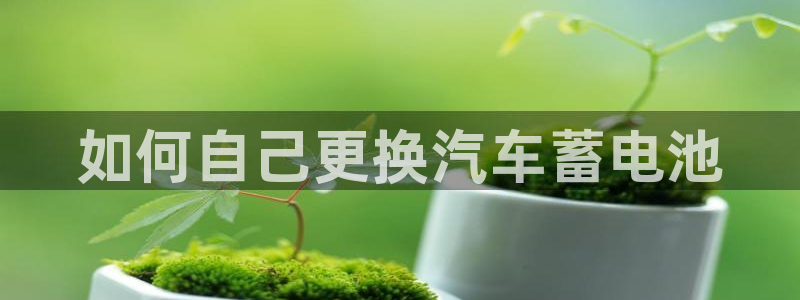 优发国际手机app下载地址