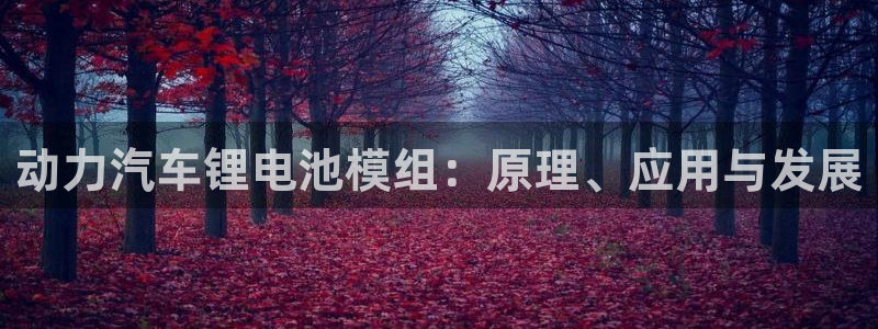 优发国际官网网站