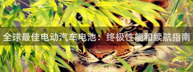 优发国际网官网址是多少