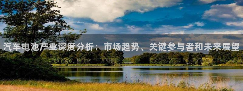 优发国际youfa966：汽车电池产业深度分析：市场趋势、关键参与者和未来展望