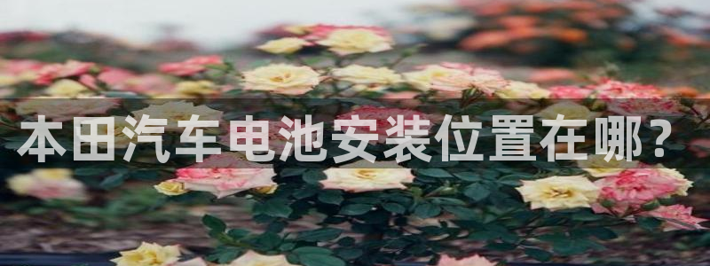 优发国际官网