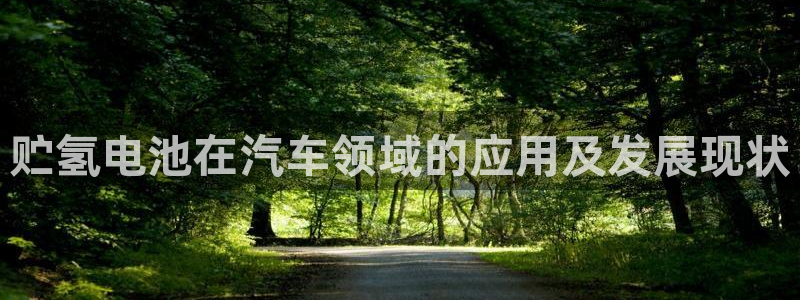 优发国际网官网址是多少：贮氢电池在汽车领域的应用及发展现状