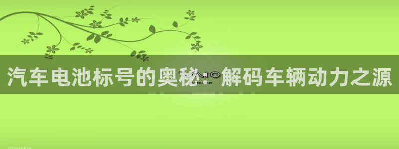 优发国际安卓版下载安装教程：汽车电池标号的奥秘：解码车辆动力之源