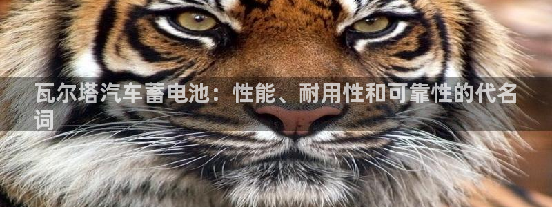 优发国际官方网手机版下载安装：瓦尔塔汽车蓄电池：性能、耐用性和可靠性的代名
词