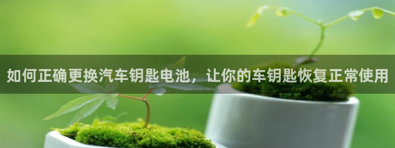 优发国际的网站是：如何正确更换汽车钥匙电池，让你的车钥匙恢复正常使用