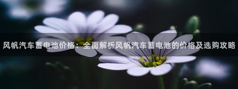 优发国际官网手机版app：风帆汽车蓄电池价格：全面解析风帆汽车蓄电池的价格及选购攻略