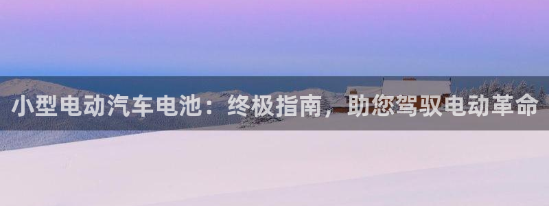 优发国际官网手：小型电动汽车电池：终极指南，助您驾驭电动革命