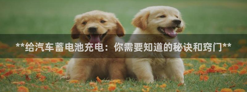 优发国际官网下载：**给汽车蓄电池充电：你需要知道的秘诀和窍门**