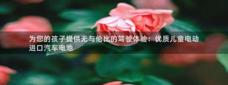 优发国际官网是多少号码：为您的孩子提供无与伦比的驾驶体验：优质儿童电动
进口汽车电池
