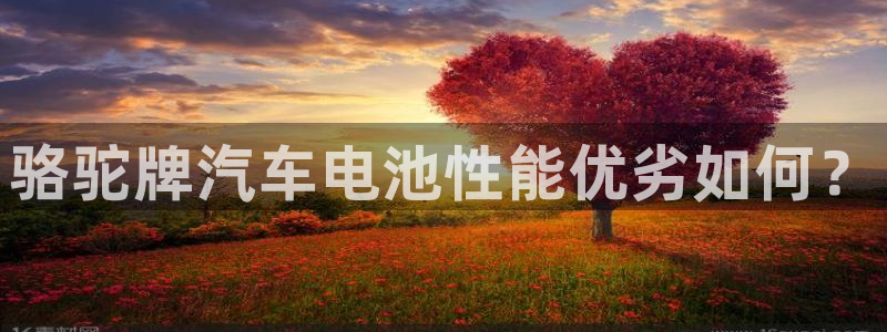 优发国际官网入口app下载安装：骆驼牌汽车电池性能优劣如何？