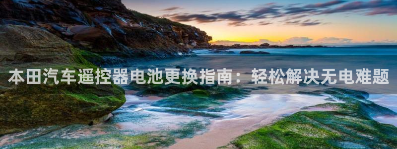 优发国际官网手机版下载安卓：本田汽车遥控器电池更换指南：轻松解决无电难题
