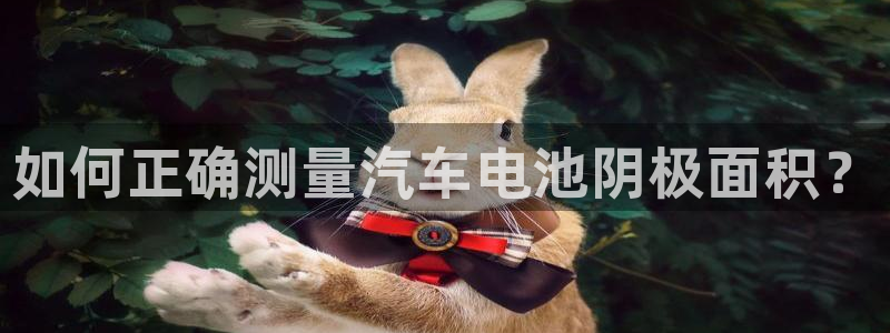 优发国际是合法的吗：如何正确测量汽车电池阴极面积？