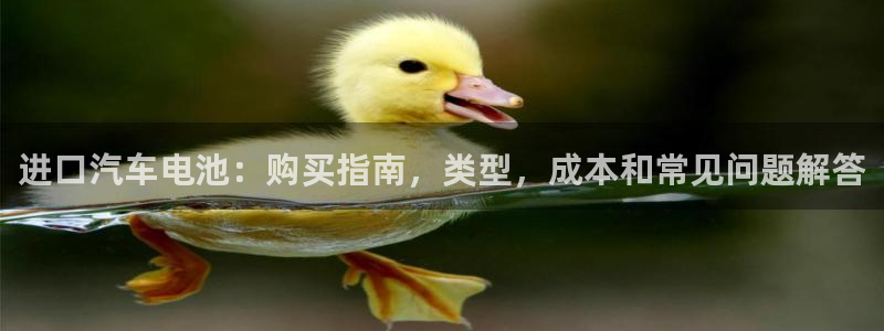 优发国际官网登陆：进口汽车电池：购买指南，类型，成本和常见问题解答