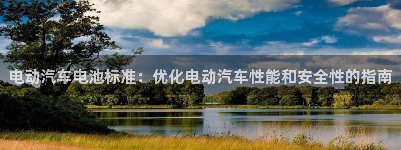 优发国际官方网平台电话：电动汽车电池标准