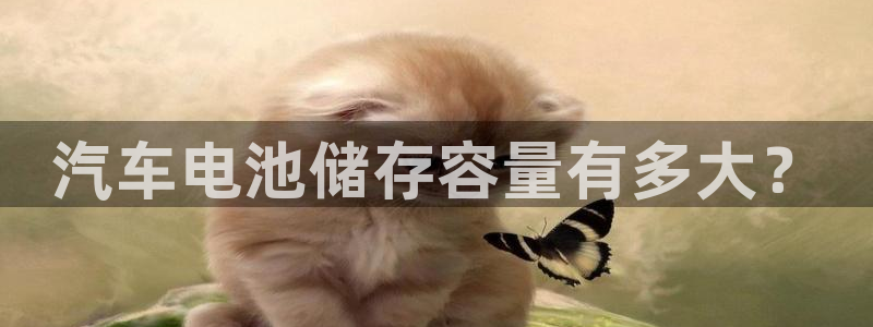 优发国际手机app下载安装：汽车电池储存