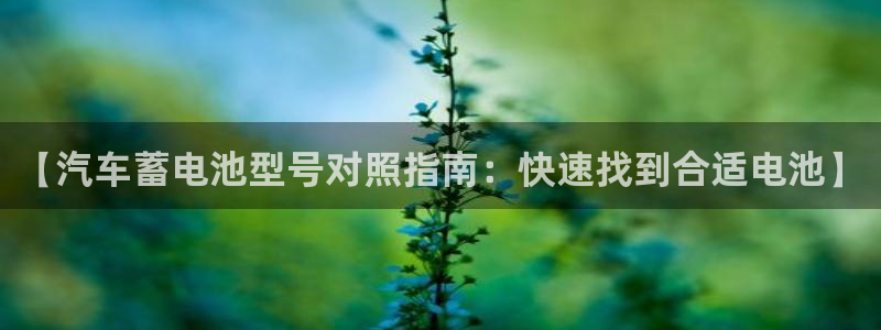 优发国际手机客户端官网：【汽车蓄电池型号对照指南：快速找到合适电池】