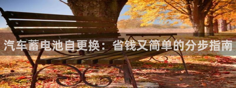优发国际平台网站：汽车蓄电池自更换：省钱又简单的分步指南