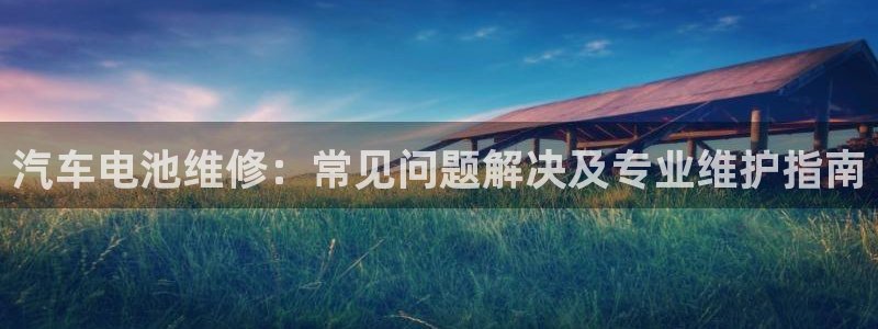 优发国际app登录：汽车电池维修：常见问题解决及专业维护指南