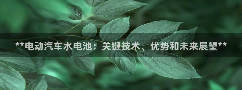 优发国际是大平台吗是真的吗