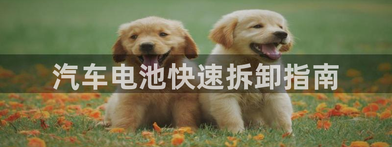 优发国际平台